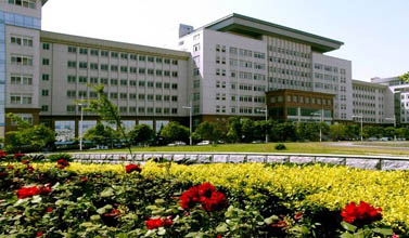 Image-2